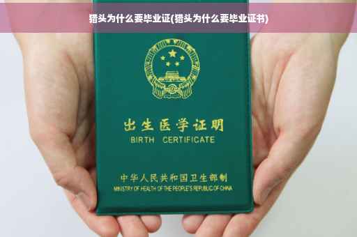 猎头为什么要毕业证(猎头为什么要毕业证书)