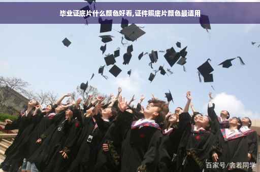 毕业证底片什么颜色好看,证件照底片颜色最适用