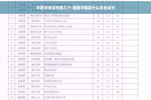 中职毕业证书有几个-附属学院发什么毕业证书
