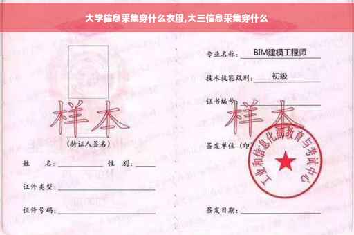 大学信息采集穿什么衣服,大三信息采集穿什么