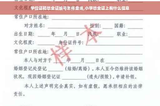 学位证和毕业证编号怎样查询,小学毕业证上有什么信息