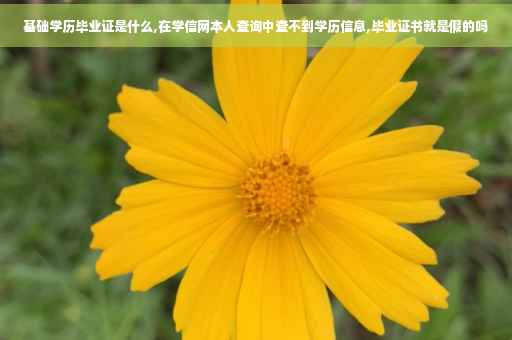 基础学历毕业证是什么,在学信网本人查询中查不到学历信息,毕业证书就是假的吗