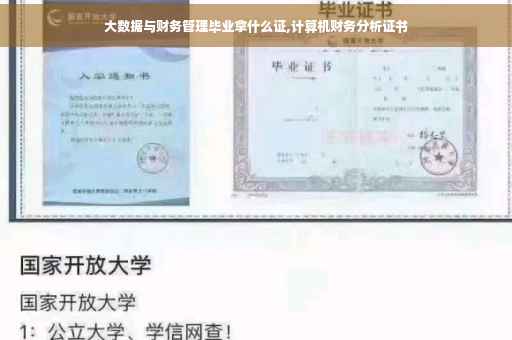 大数据与财务管理毕业拿什么证,计算机财务分析证书