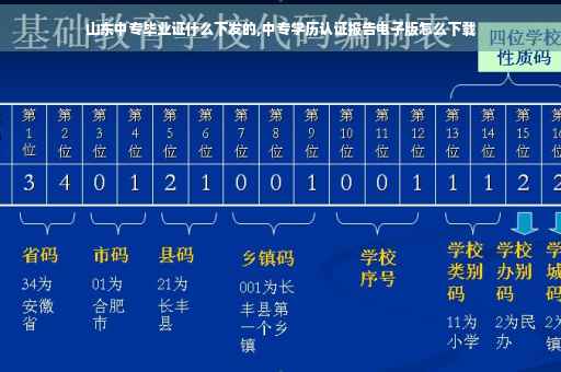 山东中专毕业证什么下发的,中专学历认证报告电子版怎么下载