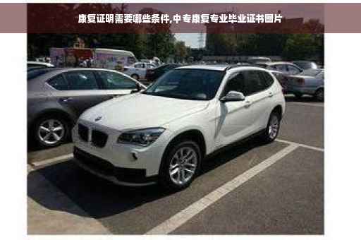 康复证明需要哪些条件,中专康复专业毕业证书图片