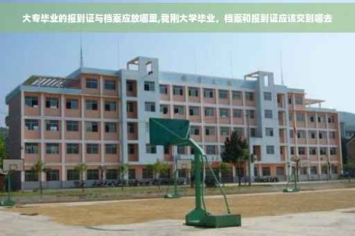 大专毕业的报到证与档案应放哪里,我刚大学毕业，档案和报到证应该交到哪去