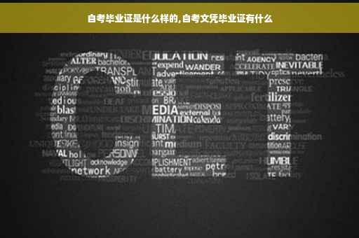 自考毕业证是什么样的,自考文凭毕业证有什么