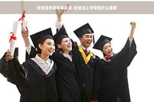 毕业证书字号怎么写-毕业证上学号是什么意思