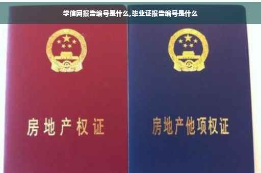 学信网报告编号是什么,毕业证报告编号是什么