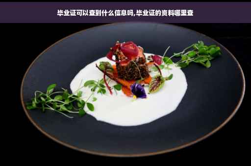 毕业证可以查到什么信息吗,毕业证的资料哪里查