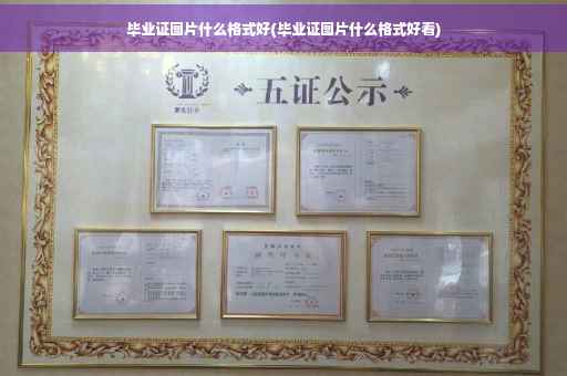 毕业证图片什么格式好(毕业证图片什么格式好看)