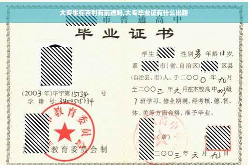 大专生在吉利有前途吗,大专毕业证有什么出路