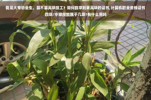 我是大专毕业生，算不算高级技工？如何能拿到更高级的证书,计算机职业资格证书四级/中级技能属于几级?有什么用吗