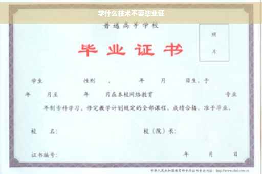 学什么技术不要毕业证