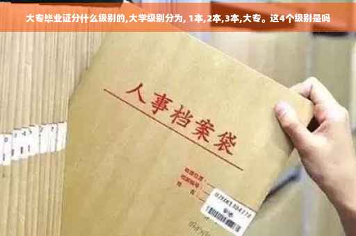 大专毕业证分什么级别的,大学级别分为, 1本,2本,3本,大专。这4个级别是吗