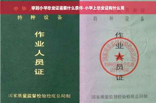 拿到小学毕业证需要什么条件-小学上毕业证有什么用