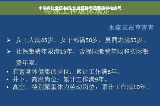 小学有毕业证书吗,毕业证编号是否是学校编号