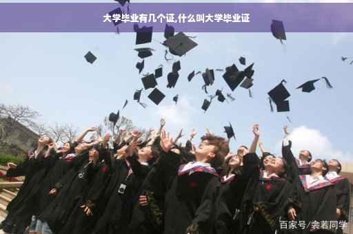 大学毕业有几个证,什么叫大学毕业证