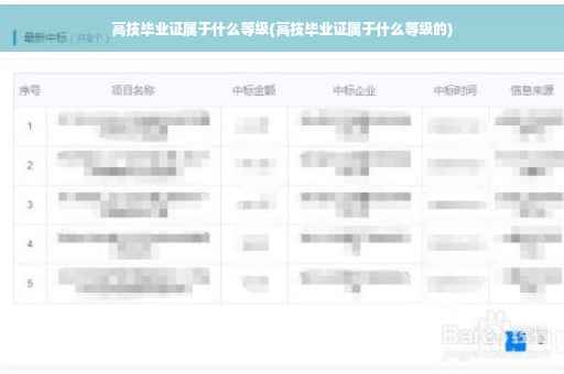 高技毕业证属于什么等级(高技毕业证属于什么等级的)