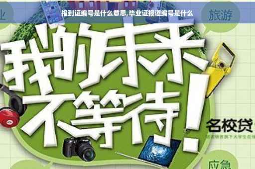报到证编号是什么意思,毕业证报道编号是什么