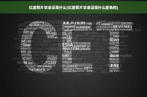 红底照片毕业证是什么(红底照片毕业证是什么底色的)