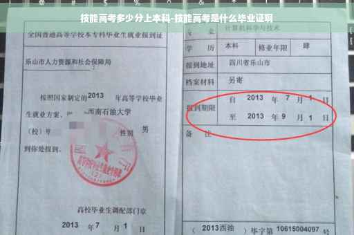 技能高考多少分上本科-技能高考是什么毕业证啊
