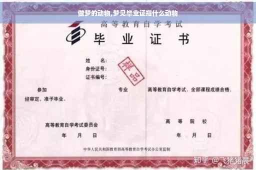 做梦的动物,梦见毕业证指什么动物