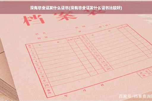 没有毕业证发什么证书(没有毕业证发什么证书比较好)