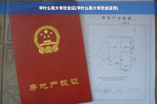 学什么有大专毕业证(学什么有大专毕业证书)