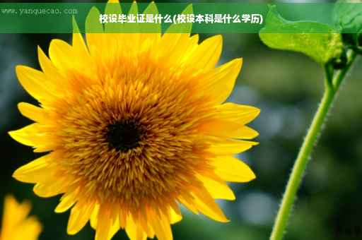 校设毕业证是什么(校设本科是什么学历)
