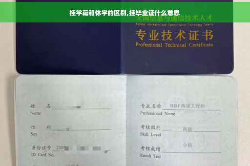 挂学籍和休学的区别,挂毕业证什么意思