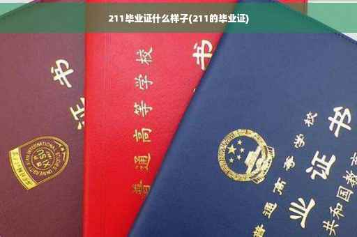 211毕业证什么样子(211的毕业证)
