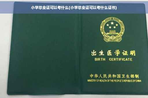 小学毕业证可以考什么(小学毕业证可以考什么证书)