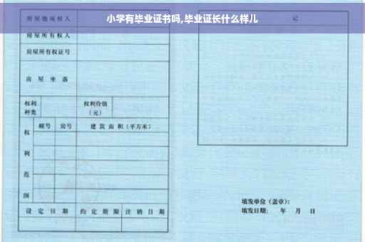小学有毕业证书吗,毕业证长什么样儿