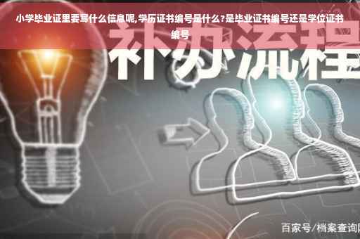 小学毕业证里要写什么信息呢,学历证书编号是什么?是毕业证书编号还是学位证书编号
