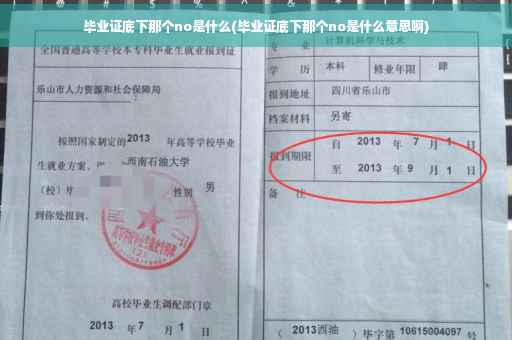 毕业证底下那个no是什么(毕业证底下那个no是什么意思啊)
