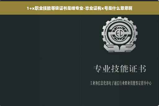 1+x职业技能等级证书是啥专业-毕业证有x号是什么意思啊