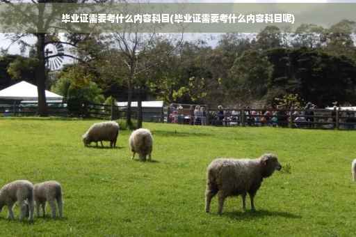 毕业证需要考什么内容科目(毕业证需要考什么内容科目呢)