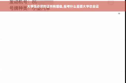 大学生必须的证书有哪些,报考什么需要大学毕业证