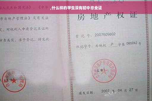 ,什么样的学生没有初中毕业证