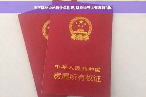 小学毕业证还有什么用途,毕业证书上有没有钢印
