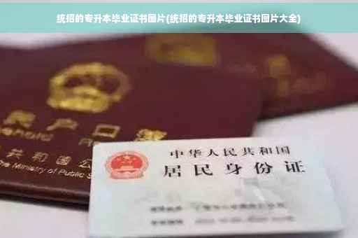 统招的专升本毕业证书图片(统招的专升本毕业证书图片大全)