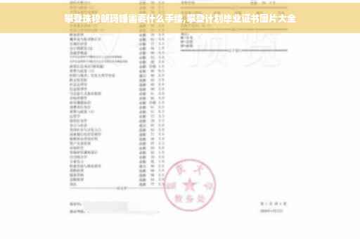 攀登珠穆朗玛峰需要什么手续,攀登计划毕业证书图片大全