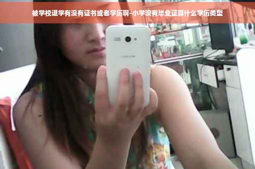 被学校退学有没有证书或者学历啊-小学没有毕业证算什么学历类型