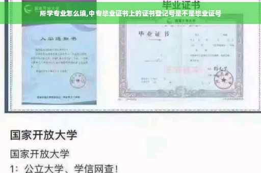 所学专业怎么填,中专毕业证书上的证书登记号是不是毕业证号