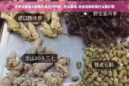 大学毕业证上的照片是几寸的阿，什么颜色-毕业证贴的是什么照片啊