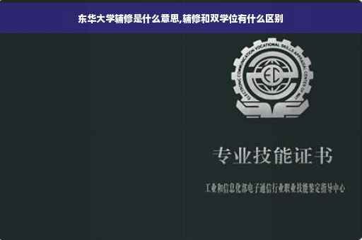 东华大学辅修是什么意思,辅修和双学位有什么区别