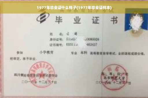 1977年毕业证什么样子(1977年毕业证样本)