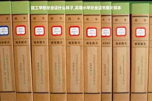 技工学校毕业证什么样子,高等小学毕业证书图片样本
