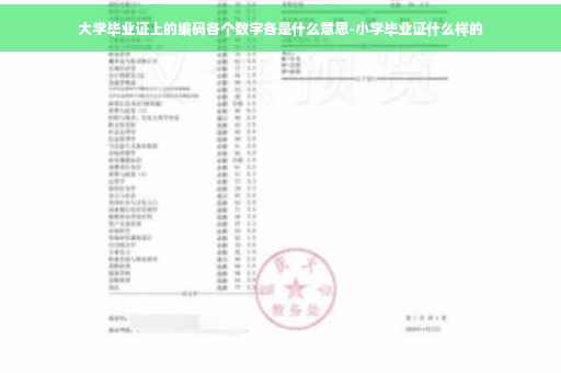大学毕业证上的编码各个数字各是什么意思-小学毕业证什么样的